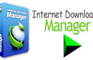 国外下载神器Internet Download Manager 6.33 Build 3破解版